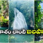 Triyani Waterfalls : తెలంగాణలో క్రేజీ బ్లూ వాటర్ ఫాల్స్.. చూస్తే మైమరచిపోవాల్సిందే!