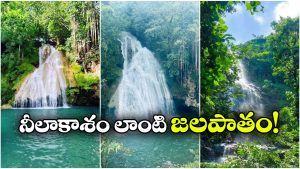 Triyani Waterfalls : తెలంగాణలో క్రేజీ బ్లూ వాటర్ ఫాల్స్.. చూస్తే మైమరచిపోవాల్సిందే!