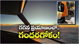 Plane Accident: 36 వేల అడుగుల ఎత్తులో విమానాన్ని  ఢీకొట్టిన గుర్తుతెలియని వస్తువు.. ఆ తర్వాత ఏం జరిగిందంటే?