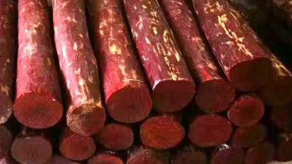 Red Sandal Smugling: తిరుపతి నుంచి ఢిల్లీకి.. 10 టన్నుల ఎర్రచందనం పట్టివేత.. ఇద్దరు అరెస్ట్