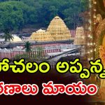 Simhachalam Appanna: సింహాద్రి అప్పన్న  ఆభరణాలు ఏమయ్యాయి.. ఏఈవో, ప్రధానార్చకులకు  నోటీసులు