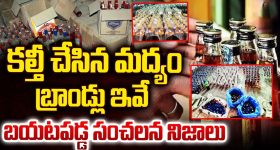 Nobel Prize Winners: వైద్య రంగంలో ముగ్గురికి నోబెల్ బహుమతి.. వారి పేర్లు ఇవే