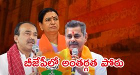 Telangana: 101 వంటకాలతో కొత్త అల్లుడికి విందు.. ఒక్కటి తగ్గినందుకు తులం బంగారం, భలే ఛాన్స్!