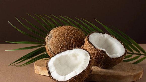 Coconut Price: కొండెక్కిన కొబ్బరి కాయల ధర.. బెంబేలెత్తుతున్న సామాన్యులు