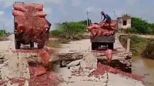 Onion Farmers: మద్దతు ధర లేక.. ఉల్లిని వాగులో పోసిన రైతు