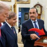 Pakistan: ఆయనో సేల్స్ మెన్, ఈయనో మేనేజర్.. పాకిస్తాన్ ఆర్మీ చీఫ్, ప్రధానిపై సెటైర్లు