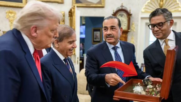 Pakistan: ఆయనో సేల్స్ మెన్, ఈయనో మేనేజర్.. పాకిస్తాన్ ఆర్మీ చీఫ్, ప్రధానిపై సెటైర్లు