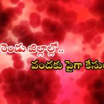 Uttarakhand News: అంతుచిక్కని వింత జ్వరం.. 10 మంది మృతి, భయం గుప్పిట్లో గ్రామాలు