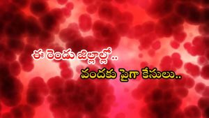 Uttarakhand News: అంతుచిక్కని వింత జ్వరం.. 10 మంది మృతి, భయం గుప్పిట్లో గ్రామాలు