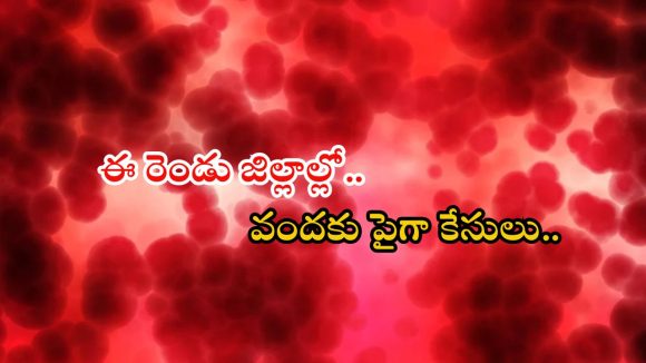 Uttarakhand News: అంతుచిక్కని వింత జ్వరం.. 10 మంది మృతి, భయం గుప్పిట్లో గ్రామాలు