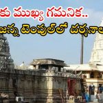 Vemulawada Temple: రాజన్న దర్శనాల్లో తాత్కాలిక మార్పులు.. రేపటి నుంచి భీమేశ్వరాలయంలో దర్శనాలు