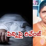 Vijayawada Crime: విజయవాడ మహిళ హత్య కేసు.. నిందితుడు అక్క కొడుకే, అసలు కారణం అదే?
