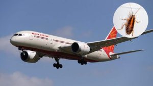 Air India:  బొద్దింకకు ఉరేసిన ఎయిర్ ఇండియా సిబ్బంది.. ఇంతకీ అది చేసిన నేరం ఏంటంటే?