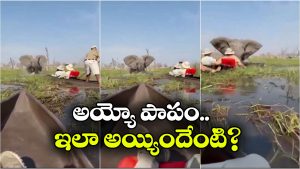 Viral Video: సరస్సులో పర్యాటకుల పడవ ప్రయాణం.. ఒక్కసారిగా దూసుకొచ్చిన ఏనుగు..