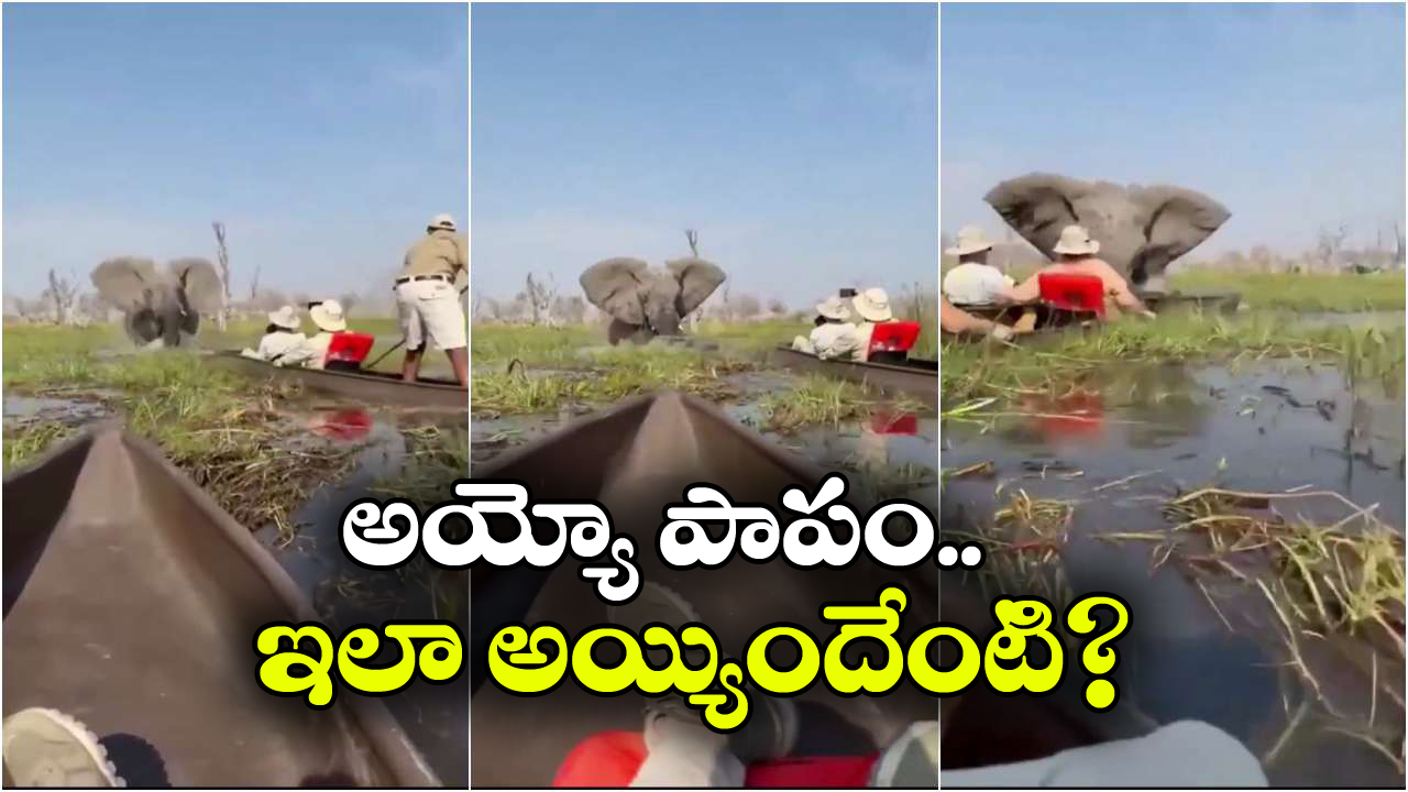 Viral Video: సరస్సులో పర్యాటకుల పడవ ప్రయాణం.. ఒక్కసారిగా దూసుకొచ్చిన ఏనుగు..