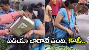 Viral Video: అండర్‌ వేర్‌ ను బ్యాగ్‌ గా మార్చేసి షాపింగ్.. ఆ మహిళ చేసిన పనికి అంతా షాక్!