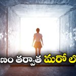 Near to Death Experience: మరణానికి కొన్ని సెకన్ల ముందు.. ఇలా కనిపిస్తుందట.. పరిశోధనలో అబ్బురపరిచే విషయాలు వెల్లడి!