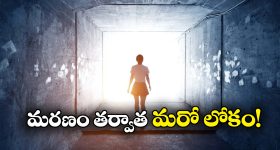 OTT Movie : గెస్ట్ హౌస్‌లో అమ్మాయిలు అబ్బాయిల ఆట... ఒంటరిగా చూడకూడని హర్రర్ థ్రిల్లర్