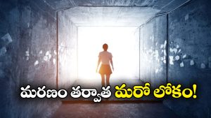 Near to Death Experience: మరణానికి కొన్ని సెకన్ల ముందు.. ఇలా కనిపిస్తుందట.. పరిశోధనలో అబ్బురపరిచే విషయాలు వెల్లడి!