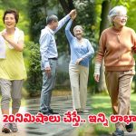 Walking: డైలీ 20 నిమిషాలు నడిస్తే.. ఈ వ్యాధులన్నీ పరార్ !
