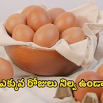 Egg Storage: కోడి గుడ్లు ఎన్ని రోజులు నిల్వ ఉంటాయి ? త్వరగా పాడవ్వకూడదంటే ఎలాంటి జాగ్రత్తలు తీసుకోవాలి ?