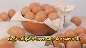 Egg Storage: కోడి గుడ్లు ఎన్ని రోజులు నిల్వ ఉంటాయి ? త్వరగా పాడవ్వకూడదంటే ఎలాంటి జాగ్రత్తలు తీసుకోవాలి ?