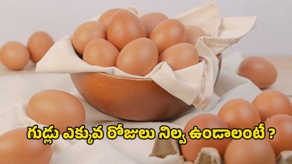 Egg Storage: కోడి గుడ్లు ఎన్ని రోజులు నిల్వ ఉంటాయి ? త్వరగా పాడవ్వకూడదంటే ఎలాంటి జాగ్రత్తలు తీసుకోవాలి ?