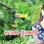 Bengaluru News: యువతి ఊపిరి తీసిన చెట్టు.. బెంగుళూరులో ఘటన, ఏం జరిగింది?