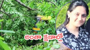 Bengaluru News: యువతి ఊపిరి తీసిన చెట్టు.. బెంగుళూరులో ఘటన, ఏం జరిగింది?