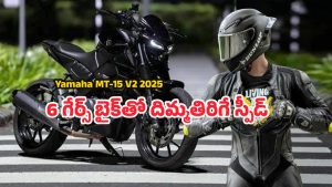 Yamaha MT-15 V2 2025: స్ట్రీట్‌ఫైటర్ లుక్‌తో స్మార్ట్ టెక్ బైక్.. కొత్త MT 15 V4 బైక్‌లో ఉన్న స్మార్ట్ ఫీచర్లు ఇవే