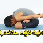 Yogamudrasana: యోగముద్రాసన.. ఒత్తిడి పారిపోవాల్సిందే!
