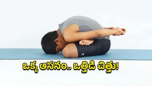 Yogamudrasana: యోగముద్రాసన.. ఒత్తిడి పారిపోవాల్సిందే!