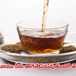Vamu Water Benefits: ఖాళీ కడుపుతో వాము నీరు తాగితే ఈ మార్పులు గ్యారంటీ.. రిజల్ట్ చూసి ఆశ్చర్యపోతారు