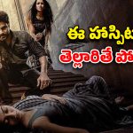 OTT Movie : ఈ కాలిపోయిన ఆసుపత్రిలో కాలు పెడితే తిరిగిరారు… అల్లాడించే అమ్మాయి ఆత్మ… అనన్య నాగళ్ళ హర్రర్ మూవీ