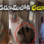 Viral Video: బెడ్ రూమ్‌లోకి ఎంట్రీ ఇచ్చిన ఎలుగుబంటి.. వెంటనే ఆ మహిళ ఏం చేసిందంటే?