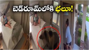 Viral Video: బెడ్ రూమ్‌లోకి ఎంట్రీ ఇచ్చిన ఎలుగుబంటి.. వెంటనే ఆ మహిళ ఏం చేసిందంటే?