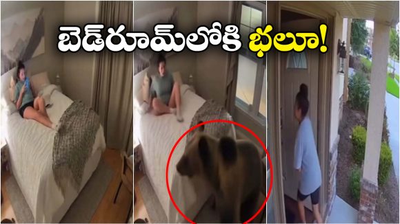 Viral Video: బెడ్ రూమ్‌లోకి ఎంట్రీ ఇచ్చిన ఎలుగుబంటి.. వెంటనే ఆ మహిళ ఏం చేసిందంటే?