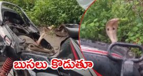 Reliance Smart Bazaar: రిలయన్స్ స్మార్ట్ బజార్ లో క్రేజీ ఆఫర్స్.. వెంటనే షాపింగ్ చేసేయండి!