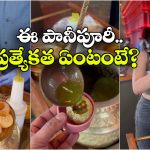 Costliest Pani Puri: వోడ్కాతో పానీపూరీ, ధర ఎంతో తెలిస్తే షాకవ్వాల్సిందే!