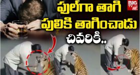 Python on Train: నడుస్తున్న రైలులో కలకలం రేపిన కొండ చిలువ