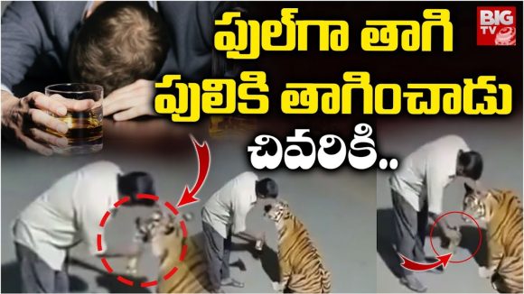 Viral Video: అరే అది పులిరా.. పిల్లి కాదు, మందు కొడితే ఇంత ధైర్యం వస్తుందా? Viral Video: అరే అది పులిరా.. పిల్లి కాదు, మందు కొడితే ఇంత ధైర్యం వస్తుందా?