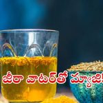 Drink for Better Digestion: జీలకర్ర నీరు తాగితే.. ఇన్ని లాభాలా ?