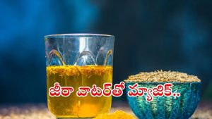 Drink for Better Digestion: జీలకర్ర నీరు తాగితే.. ఇన్ని లాభాలా ?