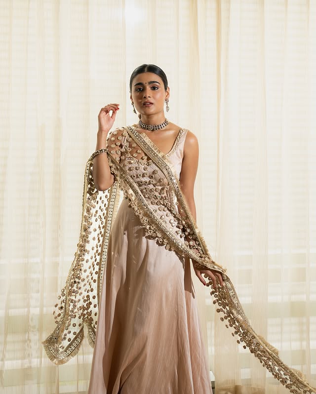 Shalini Pandey photo Gallery