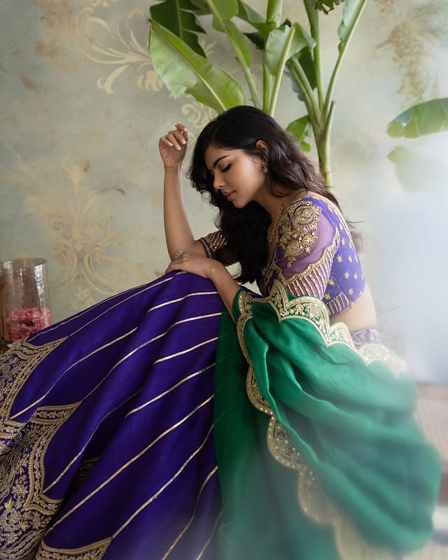 Kalyani priyadarshan photo Gallery