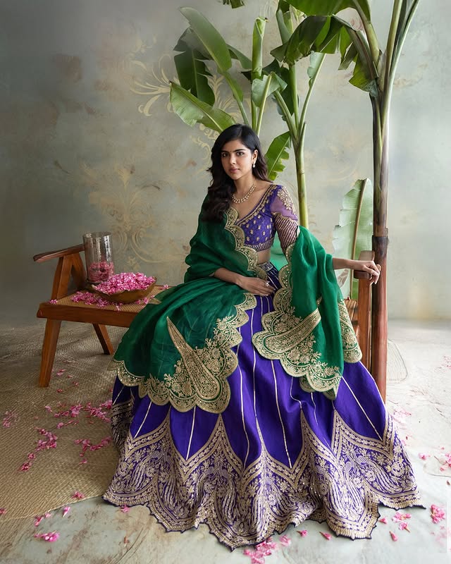 Kalyani priyadarshan photo Gallery
