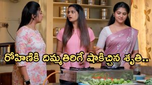 GudiGantalu Today episode: రోహిణికి షాకిచ్చిన శృతి.. ఇంట్లో దీపావళి సంబరాలు.. రోహిణి దొరికిపోతుందా..?