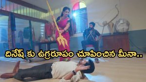 GudiGantalu Today episode: మీనా కోసం బాలు టెన్షన్..రోహిణికి దిమ్మతిరిగే షాక్..దినేష్ కు చుక్కలు చూపించిన మీనా..