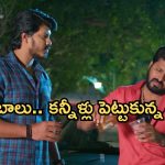 GudiGantalu Today episode: బాలు కోసం కన్నీళ్లు పెట్టుకున్న మీనా.. సత్యం క్షమాపణ.. తాగొచ్చిన బాలు..
