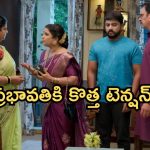 GudiGantalu Today episode: రోహిణి వంటకు ప్రభావతి ఫిదా.. క్లాస్ పీకిన సత్యం.. మీనా కోసం బాధపడుతున్న బాలు..